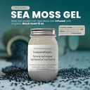 Ashwagandha Mango Moss Gel Organic Fresh Fruit Infused Wild Harvested Irish Sea Moss Gel Obr124; Imunitation and Digestive Support Supplementary 124; Vitamin Mineral Antioxidant Supplementary OF 124; (16 oz. Ashwagandha Mango)