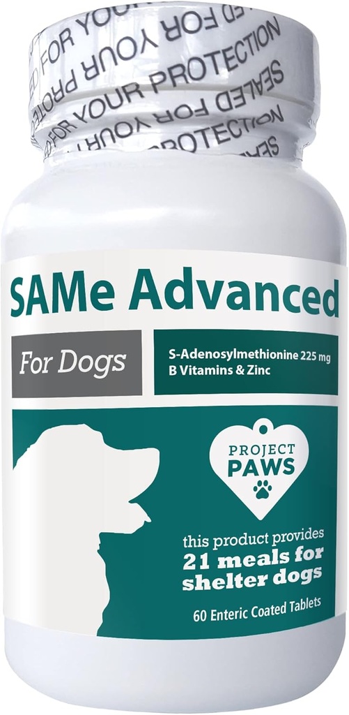Projekt Paws stejné pro psy - Podpora jater pro psy s vitamínem B - Kognitivní Dog Supplement - S Adenosyl Methionin pro psy - 60 ct.