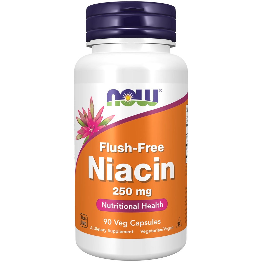 Nyní Potraviny doplňky, Niacin (Vitamin B-3) 250 mg, Flush- Free, Nutritional Health, 90 Veg Kapsle