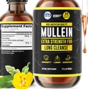 HERBIFY Mullein Extract 2 oz tinktura pro respirační zdraví, Mullein Leaf a Flowers Blend (Verbascum Densiflorum)