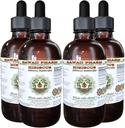 Hibiscus Alcohol- Free Liquid Extract, Organic Hibiscus (Hibiscus Sabdariffa) Sušené květiny Glycerite Hawaii Pharm přírodní bylinný doplněk 4x4 oz