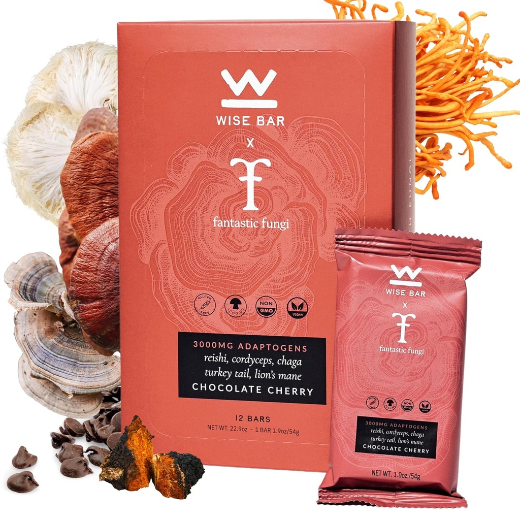 Wise Bar Adaptogen Houbová výživa Bary s Reishi, Lions Mane & Ashwagandha, Organic Vegan & gluten zdarma Snacks for Natural Focus, Energy & Imunity Support, Chocolate Cherry Flavor, 12 Count