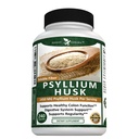 Potenciální zahrada Psylium Husk Kapsle Všechny přírodní a výkonné Soluble Dietní doplněk vlákna pomáhá podporovat regularitu a stravení, 240 Caps