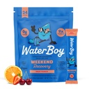 Waterboy Weekend Recovery 124; 3,200mg Electrolyte Powder Packets S124; Ginger + L- Theanine + Vitamins S124; No Sugar, All Natural, Gluten Free S124; 24 Drink Stick Mixes (ovocný punč)