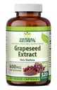 Bylinné tajemství Grapeseed Extract 400 mg 120 Veggie Kapsle Dodatek - Non- GMO - gluten zdarma