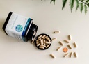 Ashwagaandha dodatek Organic KSM- 66 Ashwagaandha vegetariánský dodatek 180 Kapsle, 1000mg na denně Serving, Nápověda Podpora zdravé řízení stresu reakce, jasné