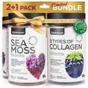 Kolagen a Moss Moss Gummies Bundle - Kolagen Peptides, Irské moře Moss, Biotin, Keratin, Bladderwrack - Gummy dodatek pro imunitu, detox, zdravé vlasy, kůže a nehty - pro muže a ženy