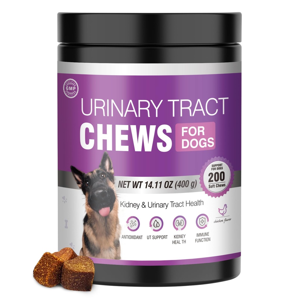 Pes UTI Léčba Cranberry Dodatek pro psy 200 Žvýkačky Močová Trakt Medicína Průtok močového měchýře Pills Ledviny Podpora Cranberrys Extract Bites Puppy UTI Infekční léčby Inkontinence Remedy pro psy
