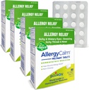Boiron AllergyCalm Tablets 240 Počet, Úleva od alergie a Hay Horečka Příznaky žíhání, Runny Nose, SITchy Eyes, Krk, Alergie Klidové Tabs (Dříve RhinAlergie) (Balení 4 60ct Boxy)