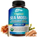 NutriFlair Organic Sea Moss 1600mg, 120 Kapsle Plus Bladderwrack & Burdock - Prebiotické Super Food - imunitní systém a stravitelné zdraví - štítné žlázy, zdravá pleť, Keto Detox, Gut