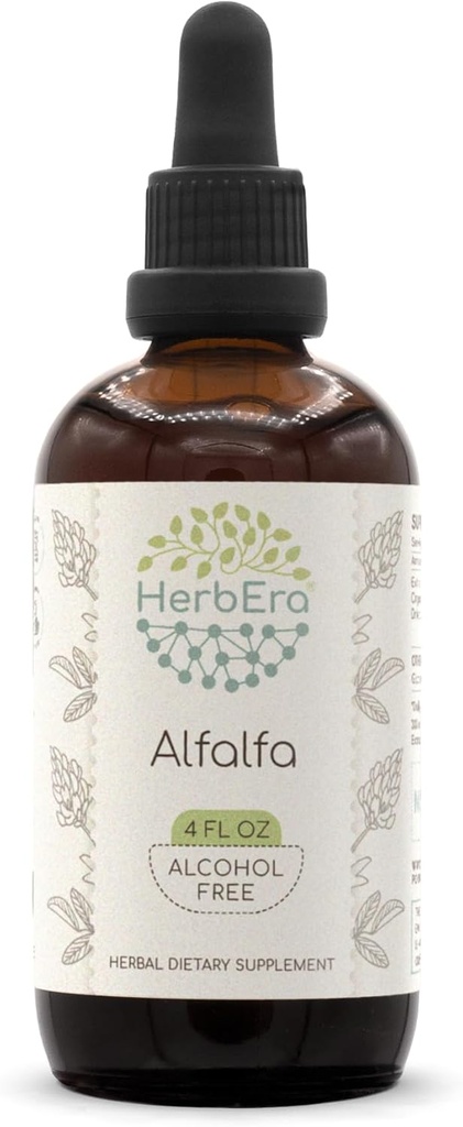 HerbEra Alfalfa B120 Alcohol- Free Bylinný extrakt tinktura, Koncentrované kapalné kapky přírodní Alfalfa 4 fl oz