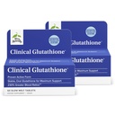 Terryho přirozeně klinický glutathion - Antioxidant pro vysokou absorpci - dodatek stravy s L- Glutathione - dodatek k podpoře buněčného zdraví - 60 tablet se zpomaleným tavením (balení po 2)
