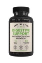 Crystal Star Digestivní Supplement (60 Kapsle) - Bylinné Gut Zdravotní dodatek, který pomáhá s příležitostně plyn & Bloating - Pepermint, Aloe Vera, Slippery Elm & Ginger - Non- GMO