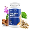 BioMatrix Metabolismus Dodatek pro muže a ženy, Skořice, Gymnema, Kyselina lipoová, Vanadyl Sulfát, Pikolinát chromitý, hořký melon (60 kapslí)