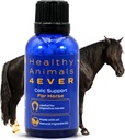 HA4E - Koňská Colic Support - Snížení bolesti břicha a žaludku - Vysoce efektivní, přírodní Homeopatický dodatek - 300 Tablety