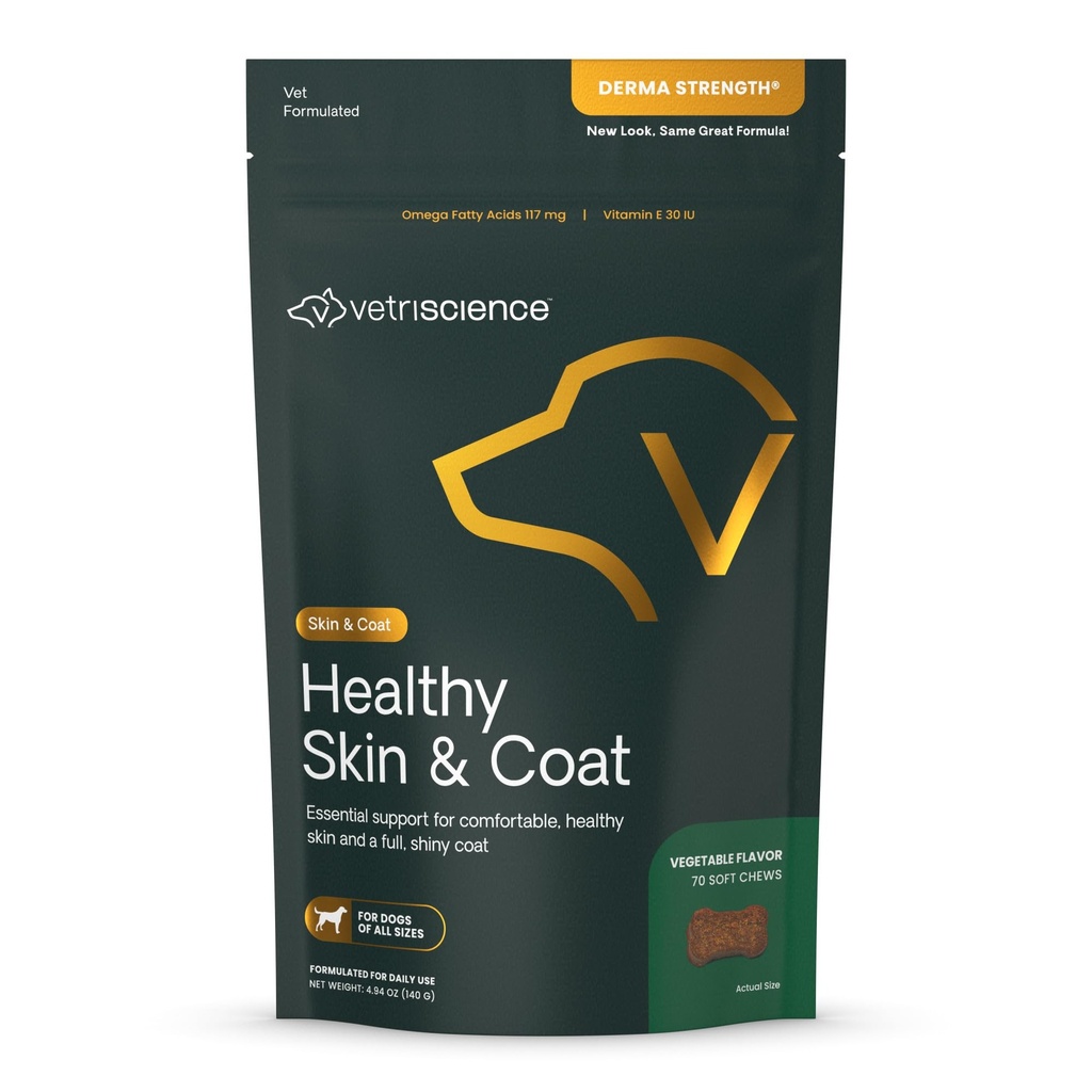 VetriScience Zdravé pleti a coat Chews, Derma síla Omega-3 losos olej doplněk pro psy, Omega kůže a coat Chews, zdraví, Coat Growth, Rybí olej a vitamin E, Veggie, 70 Počet