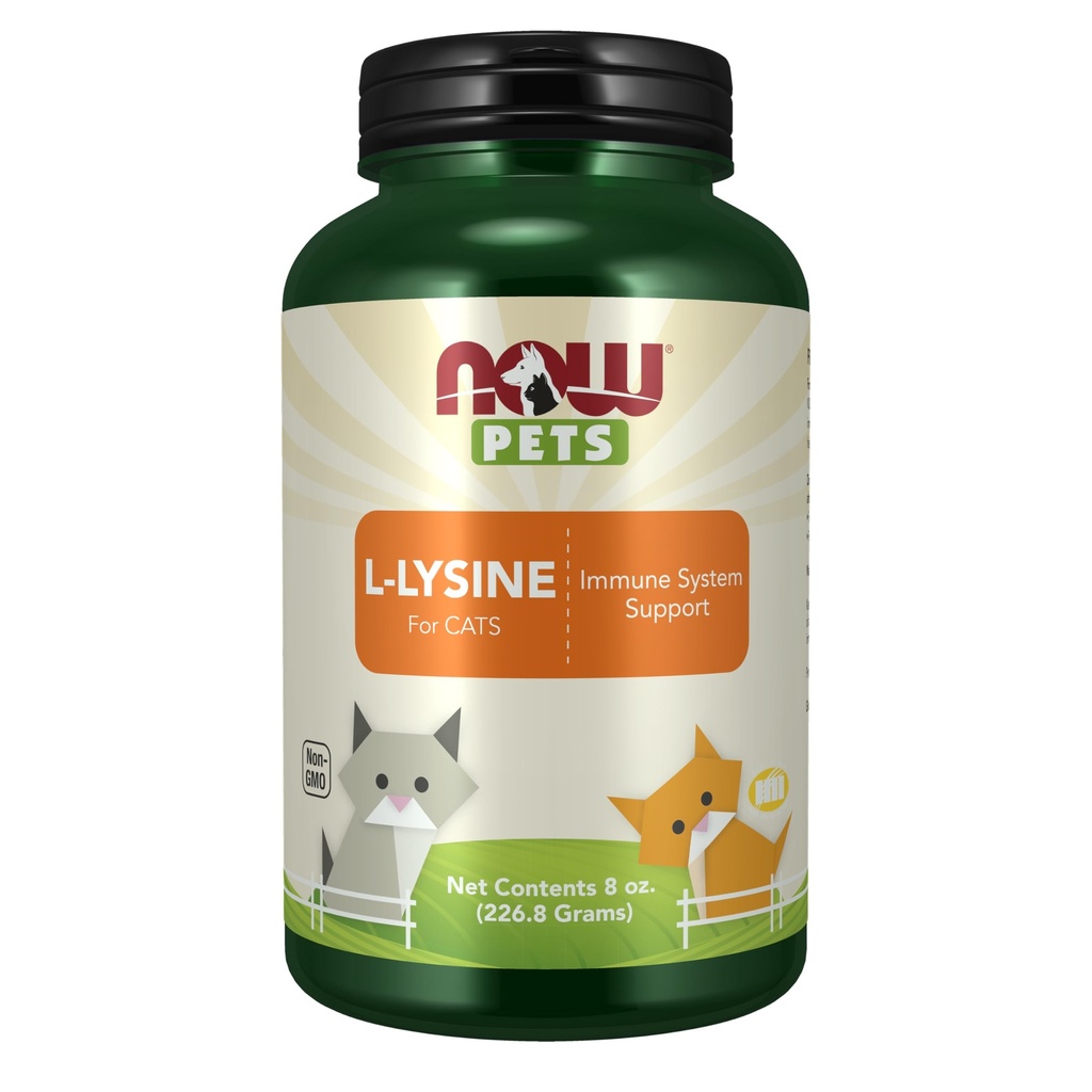 Nyní Pet Health, L-Lysin dodatek, Prášek, Kompatibilní pro kočky, NASC Certified, 8-Ounce