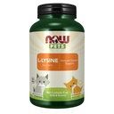 Nyní Pet Health, L-Lysin dodatek, Prášek, Kompatibilní pro kočky, NASC Certified, 8-Ounce