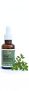 OREGANO COMPANY - olej Oregano 1 fl. oz 30 ml, 90 + Carvacol, Extra síla, tekutý, vegan, Vegetarian, Non- GMO, gluten volné kapky, sezónní kapky, přírodní, jedlé potravinářské třídy, Aceite De Oregano