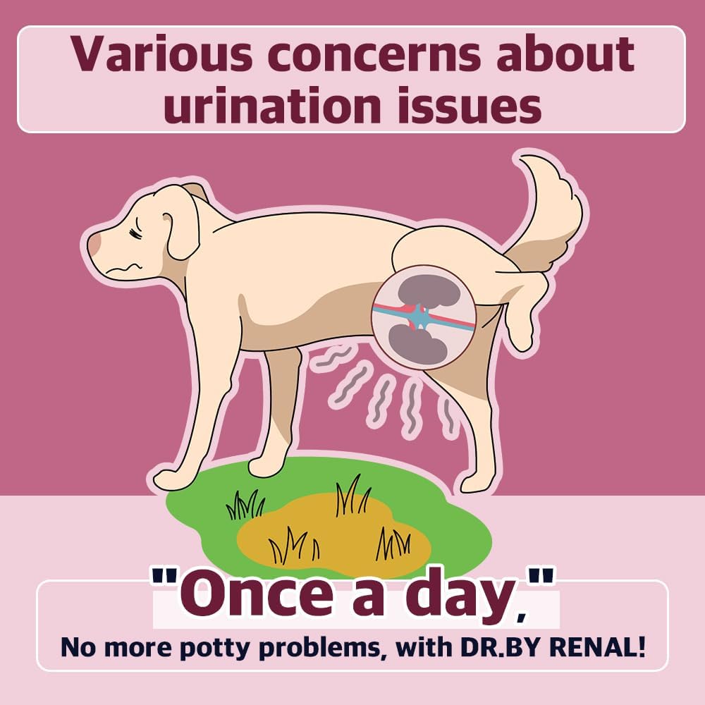 Dr.by Renal Ledviny močový měchýř Urethra Nutriční dodatek pro psy a štěně - Sweet Brambory ochucený Dog dodatek pro psa UTI, 30 Počet jednotlivě zabalený (balení po 1)