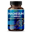 Komplex hořčíku 8 600 mg - x8 Power with Ashwagandha + Ginkgo Biloba - Relax & Obnovit, Restful Sleep - USA Made & Tested (150 Počet (balení po 1))