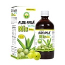 Základní Ayurveda Aloe Amla Mix Juice 124; Směs Aloe Vera & Amla Fruit 124; First Press Virgin Juice 124; Plant- Based Daily Drink 124; Vegan & Non- GMO Juice 124; 32.46 Fl Oz (960ml)