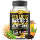 Mořský Moss, Black Seed Oil, Ashwagandha, Ginger, Shilajit Gummies s Elderberry, Chlorofyl, Turmeric Bladderwrack Moss Gummies Advanced Force Formule - Vše v 1 Bundle - USA Made (60 Gummies)