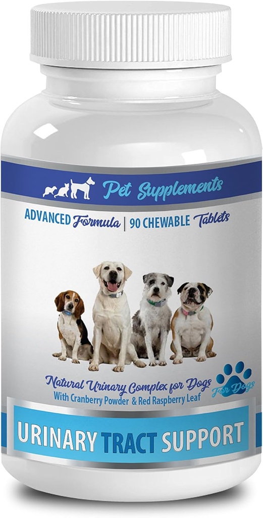 Pes Močové žvýkání - Pes Močové Tract Support - Natural Cranberry Solution - Brýle Zdraví - Vet Doporučeno - Brusinkové pilulky pro psy - 1 lahvička (90 léků)