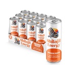 Nápoj (Orange Peach)
