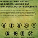 Herbadieta Bamboo Extract Powder 124; Podporuje zdravou pleť, vlasy a nehty 124; přírodní doplněk vlasů s 70% silika (50 gram / 1.76 oz)