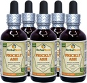 Pikantní popel (Zanthoxylum Clavaherculis), tinktura, sušený tekutý extrakt ze štěrku (značka: HerbalTerra, Proroudly Made in USA) 5x2 fl.oz (5x60 ml)