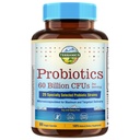 Terranics Probiotics 60 Milionů CFU, 20 Strany, 60 Veg Kapsle, Prebiotika & Probiotika, Stabilní Probiotický dodatek pro muže a ženy, Digestive & Imunní zdraví, Non- GMO, NO Soy, Dairy & Gluten