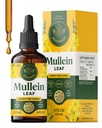 HERBAMAMA Mullein Drops for Lungs - Vegan Lung Cleanse with Mullein Leaf Extract, Echinacea Tincture & Licence - Non- GMO, Alkohol & Sugar- Free Respirační Supplement - 56- Day Supply