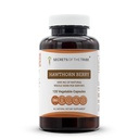 Tajemství Tribe Hawthorn Berry Kapsle 1000 mg Hawthorn (Crataegus spp.) Sušený Berry, dodatek pro podporu kardia (120 Kapsle)