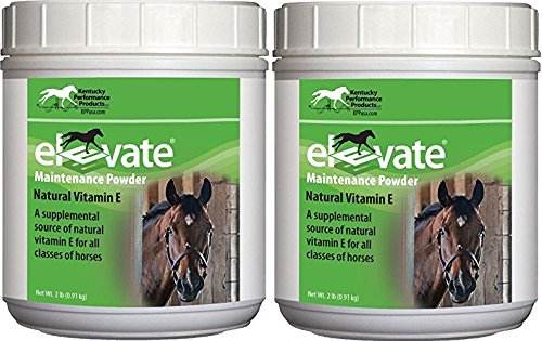 Kentucky Performance Products 2 Balení Elevate Maintenance Power, 2 litry každý, přírodní vitamín E Koňský dodatek