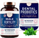 WINDSOR BOTANICALS mužský doplněk plodnosti a zubní probiotika Zdraví a Wellness Bundle