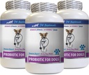 Dobře a dobrý pes průjem - PROBIOTIC pro psy - Zdravý Gut - Stop plyn průjem a špatný dech - Digestive Boost - Psí probiotika Průjem - 3 Lahve (180 procedur)