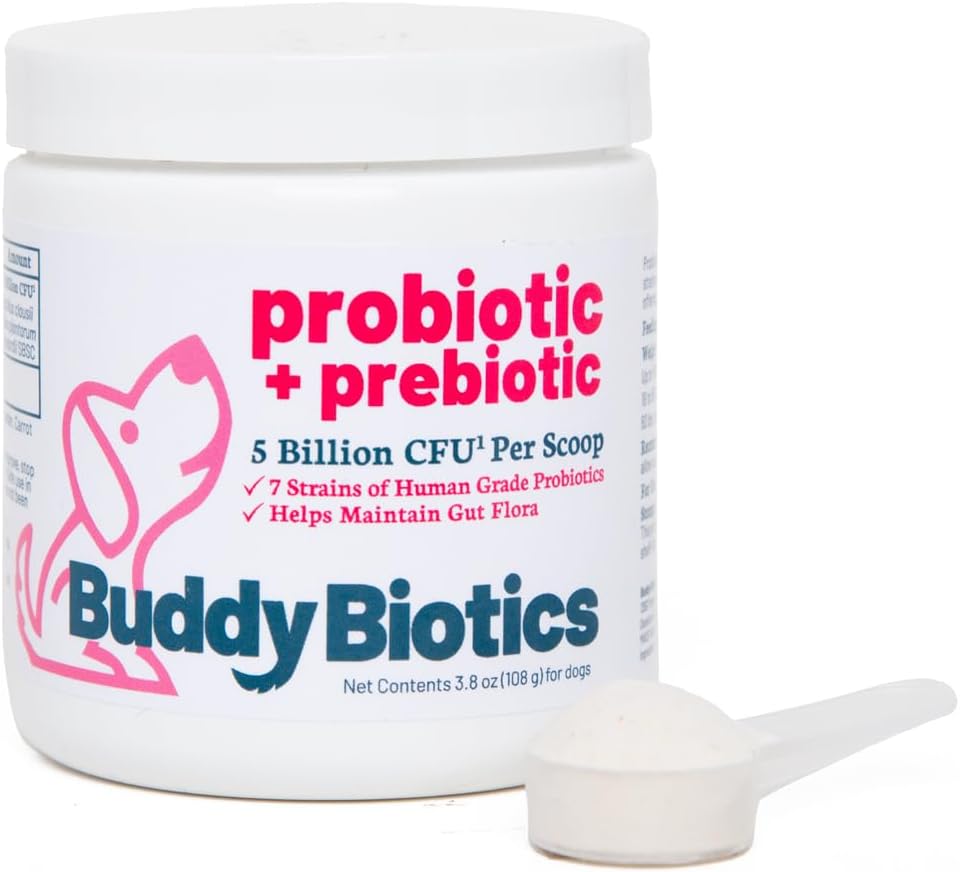 Buddy Biotics Probiotic + Prebiotic for Dogs- Gut Flora Health, Divestival and Imunitary Health, Diarhea and Bowel Support - 5 miliard CFU per Scoop