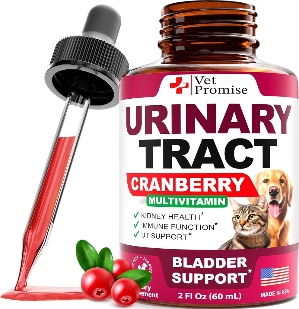Kočka a pes UTI Léčba - Močové Trakt Infekční léčby s brusinkou - Dog & Cat UTI Medicine - Advanced Ledviny a močová měchýř Podpora Multivitamin - Renální doplněk zdraví Vitamíny - Vyrobeno v USA