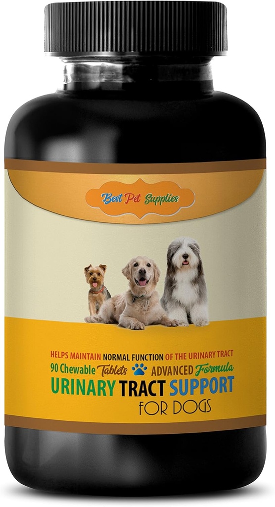 Podpora močových měchýřů pro psy - Psi Podpora močových cest - Udržovat zdravotní funkce - CHEWABLE - UVA Ursi pro psy - - Dog doplňky a vitamíny - Dog vitamíny a multivitaminy - 90 léčby (1 lahvička)
