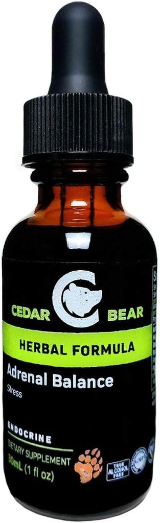 Cedar Bear Adrenal Balance - Tekutý bylinný dodatek s adaptogeny, které bojuje únavu, řízení stresu a zvýšení energie 1 fl oz / 30 ml