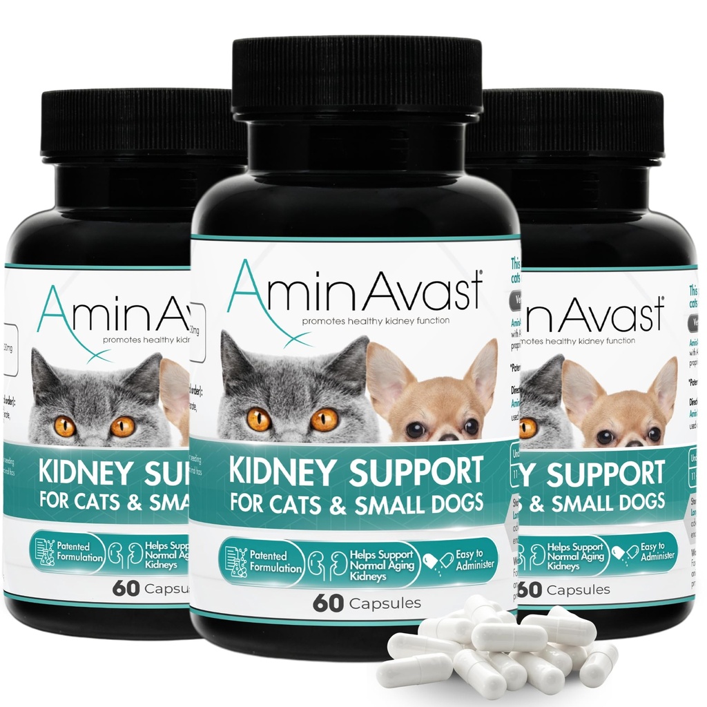 AminAvast Ledviny Supplement pro kočky a malé psy, 300mg 3-Pack - Promotes Natural Ledviny Function - Podpora zdraví a vitality stárnoucích ledvin - Snadno podávané - 60 Sprinkle Kapsle