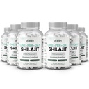 Organics Ocean One- Per- Day Shilajit pro muže a ženy - Přírodní a potentní Shilajit dodatek pro Age- Vzpírání, síla kostí, Hormon Podpora a více - 6 Lahve Shilajit Kapsle