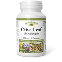 HerbalFactors by Natural Factors, Olive Leaf 500 mg, Natural Wellness Formule, 90 Kapsle