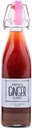 Annie 's Ginger Elixir, 17oz 1- Pack, Pure Natural Organic Tonic Ginger Shot, Digestive Cleanse Zvyšuje imunitní obranu, Denní Gut zdraví a wellness, Non- GMO nápoje