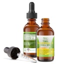 Potenciál & Organic Vegan Omega 3 Tekutý dodatek: Lepší než rybí olej! Rostlinné vody extrahované algae oleje - DHA EPA mastné kyseliny - Non GMO- Podporuje imunitní, srdce, mozek a společné Health- 60 dávek
