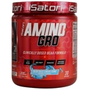 iSatori amino- GRO BCAA Powder, Branched Chain Amino Acids with glutamine, Electrolyte Powder & Bio- GRO Bio- Actides for Muscle Growth & Post Workout Recovery, Blue Razz Snow Cone (30 Servings)