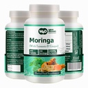 Moringa Tablets with Turmeric and Ginger, 300 pilulek, 5 měsíční zásoba, 150 Serving, 1000 Mg per Serving. Jedna tobolka s vícenásobnými účinky - podporuje trávicí zdraví (balení po 1)