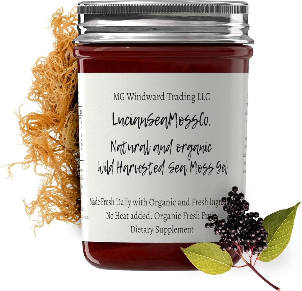 Dr. Sebi inspiroval alkalické organické čerstvé Elderberry Ginger Moss Gel - přírodní esenciální vitaminy, minerály Plus antioxidanty Wild sklizeň ze Saint Lucia (8 oz.)