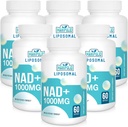 Lipozomální NAD + dodatek 1000 mg PHARMAN 124; nejvyšší NAD Pontechy PHARMAN 124; Max Absorpční GARMAN 124; čistý NAD doplněk PHARMAN 124; Opravy energie a DNA, aging defense, Brain Function PHARMAL 124; 360 Softgels